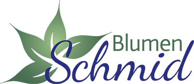 Logo Blumen Schmid